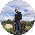 Daniel N. profile picture