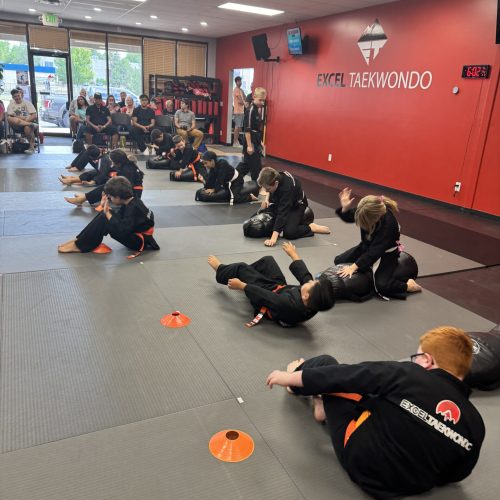 Little Ninjas Excel Taekwondo